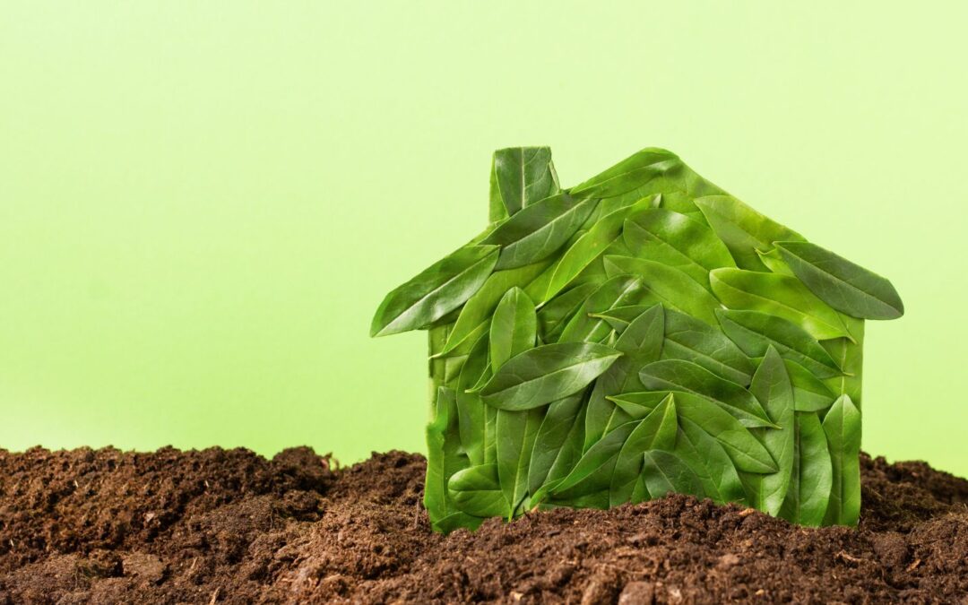 House-shaped structure made of green leaves on a bed of soil against a light green background.