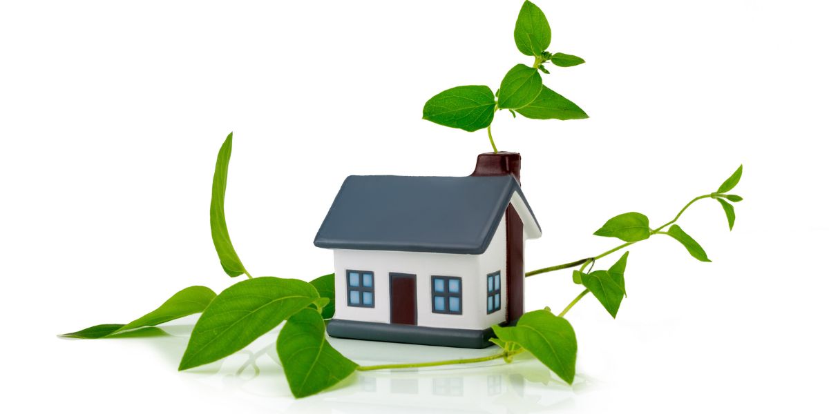 Small model house surrounded by green vines on a white background.